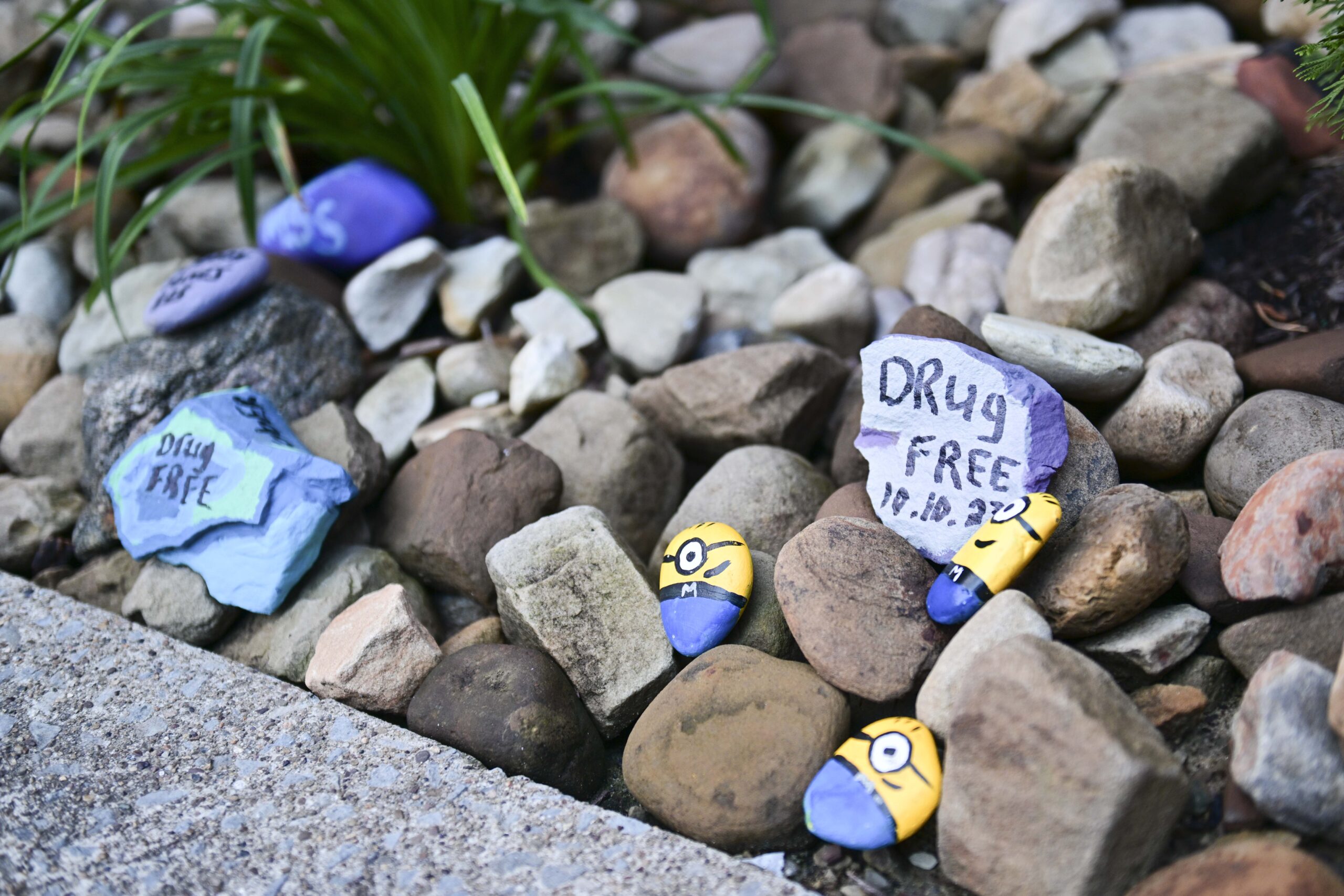 Lauren's Wish Triage Center fills the void in addiction recovery